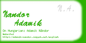nandor adamik business card